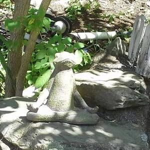 Meet your Posher, Colleen